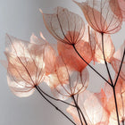 Transparentne, świetliste liście w delikatnym różowo-brzoskwiniowym odcieniu – inspiracja kolorem błyszczyka Hedonista DiamondsForBreakfast