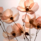 Delikatne, świetliste kwiaty w ciepłym różowo-brzoskwiniowym odcieniu – inspiracja kolorem błyszczyka Hedonista MadamGlam