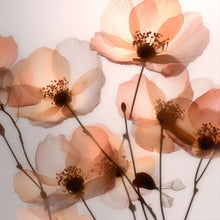 Delikatne, świetliste kwiaty w ciepłym różowo-brzoskwiniowym odcieniu – inspiracja kolorem błyszczyka Hedonista MadamGlam