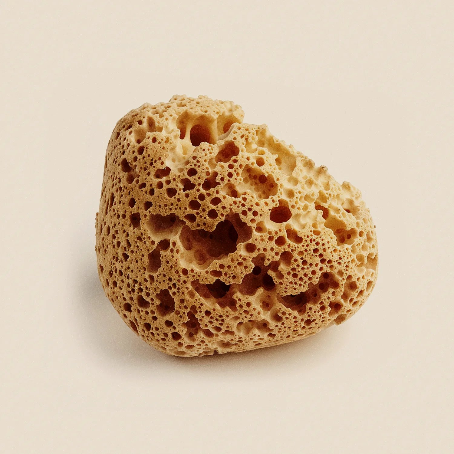 Naturalna porowata struktura – inspiracja miękkością i chłonnością gąbki do makijażu Hedonista