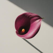 Śliwkowo-burgundowy kwiat w głębokim, nasyconym odcieniu – inspiracja kolorem matowej pomadki Hedonista AboutHer