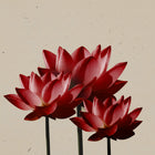 Intensywnie czerwone kwiaty w głębokim, nasyconym odcieniu – inspiracja kolorem matowej pomadki Hedonista Daltonista