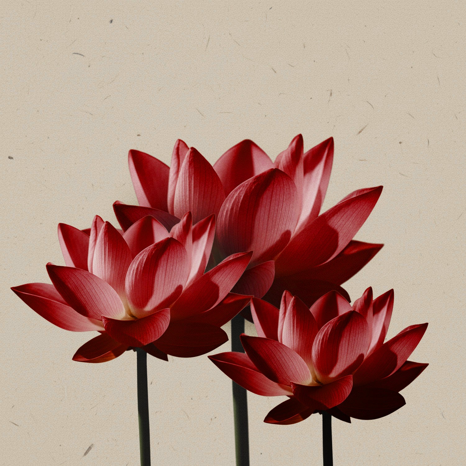 Intensywnie czerwone kwiaty w głębokim, nasyconym odcieniu – inspiracja kolorem matowej pomadki Hedonista Daltonista