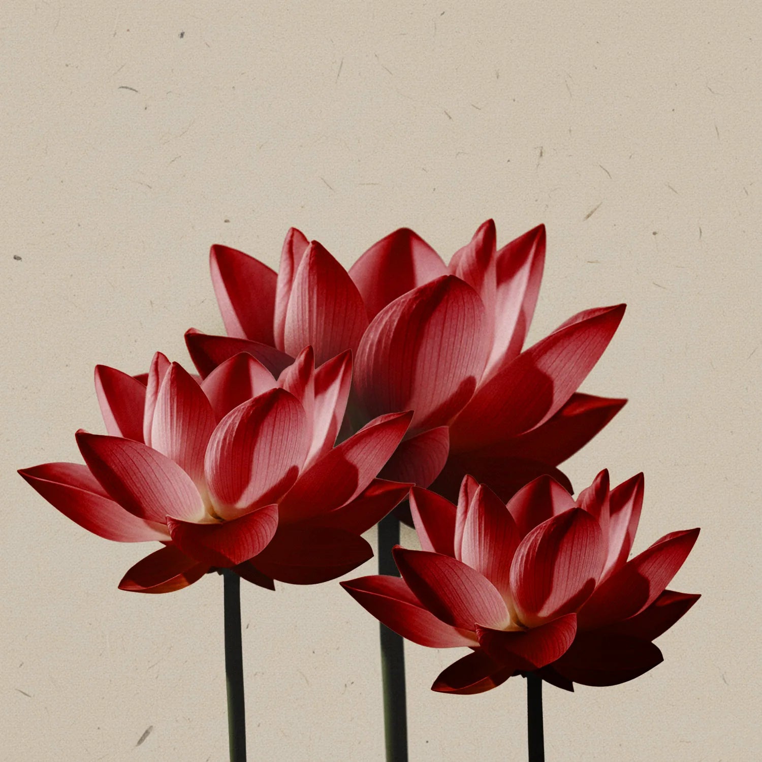 Intensywnie czerwone kwiaty w głębokim, nasyconym odcieniu – inspiracja kolorem matowej pomadki Hedonista Daltonista