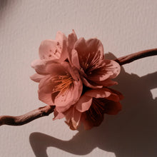 Kwiat w ciepłym odcieniu nude z różowo-brzoskwiniowym tonem – inspiracja kolorem matowej pomadki Hedonista MarzipanNude