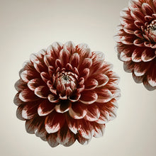 Kwiat w przygaszonym odcieniu nude z nutą czerwieni – inspiracja kolorem matowej pomadki Hedonista NudeYork