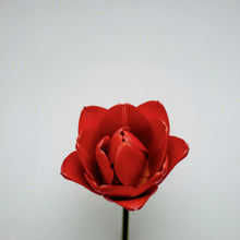 Klasyczny czerwony kwiat w czystym, intensywnym odcieniu – inspiracja kolorem matowej pomadki Hedonista Red-a-porter